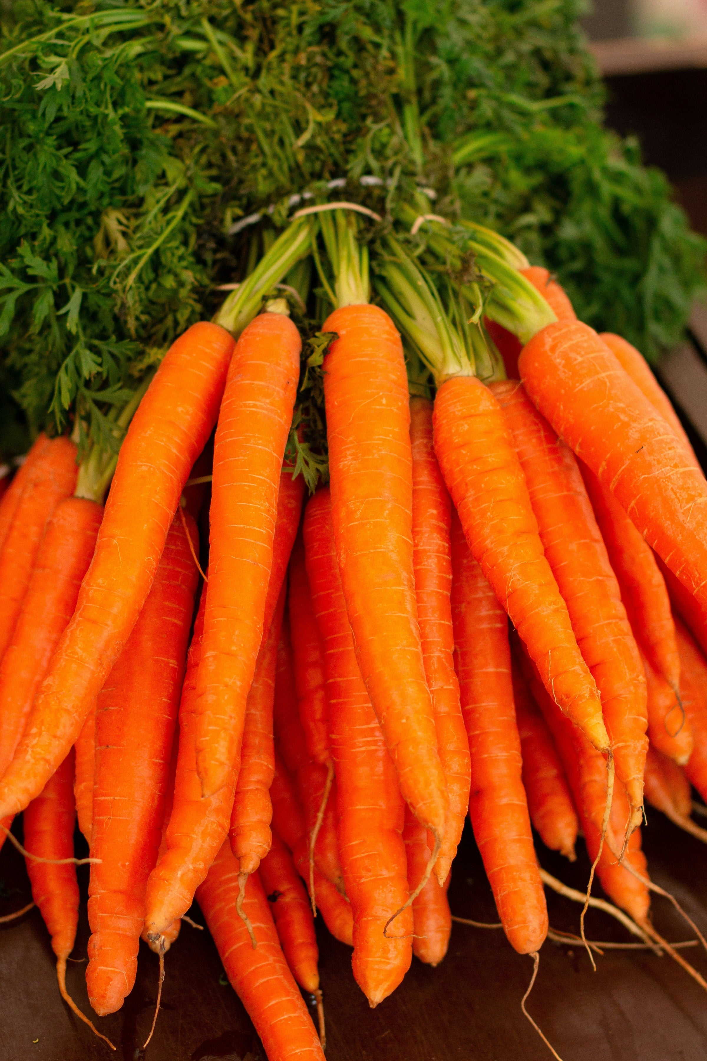 Harissa Carrot Salad